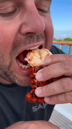 Premium Maine Wild-Caught Lobster Tail – Tender & High Protein-Zane