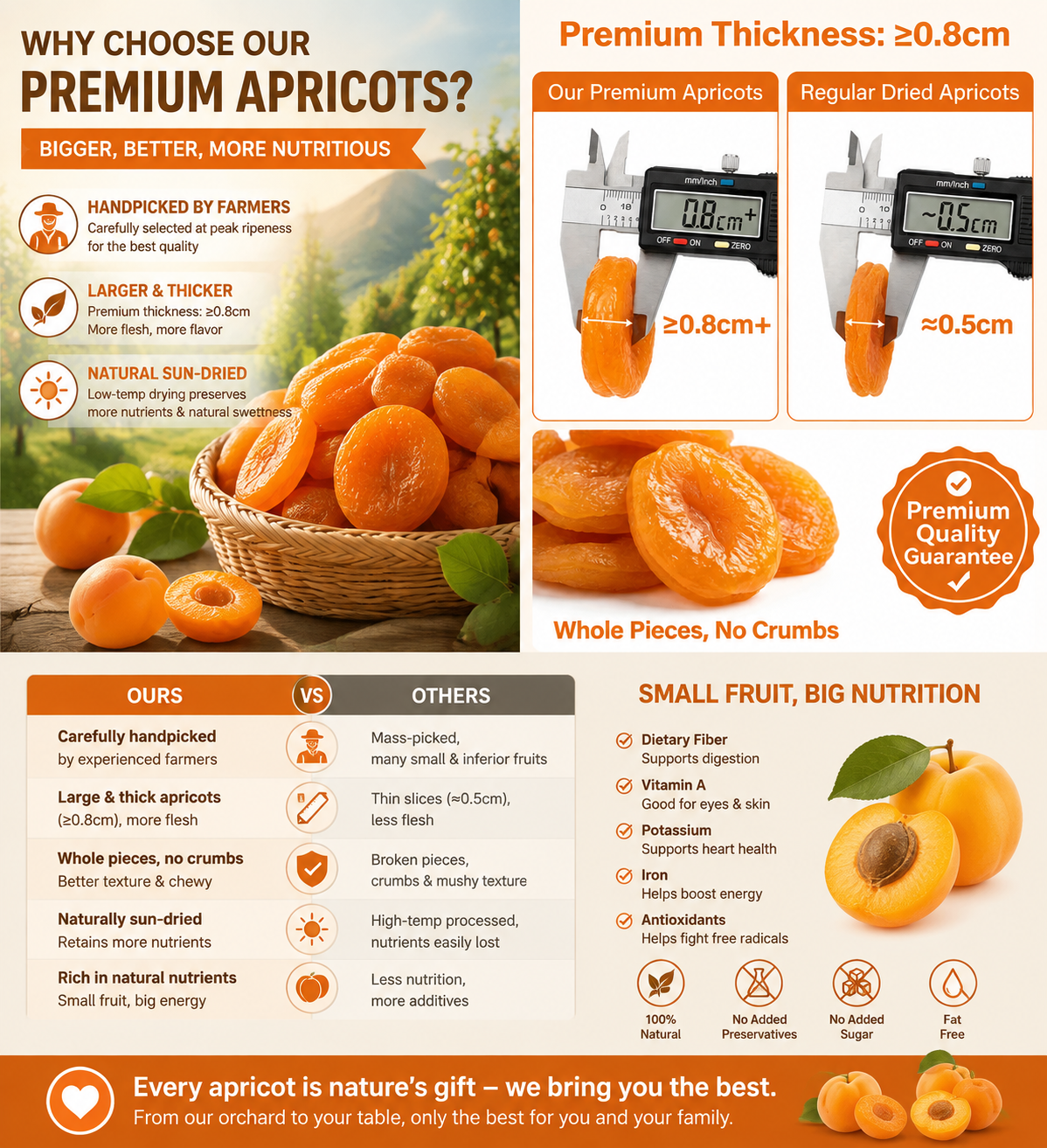Premium California Dried Apricots – Naturally, Organic Healthy Snack with No Added Sugar-Zane