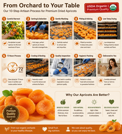 Premium California Dried Apricots – Naturally, Organic Healthy Snack with No Added Sugar-Zane